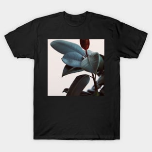 Night Ficus #1 T-Shirt